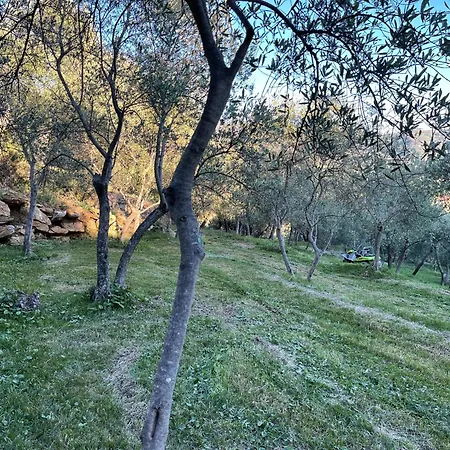 Tenuta Uliveto Tigullio